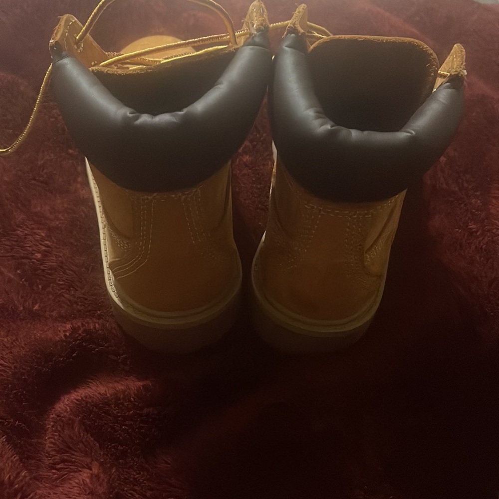 Timberland wheat - Picture 6 of 7